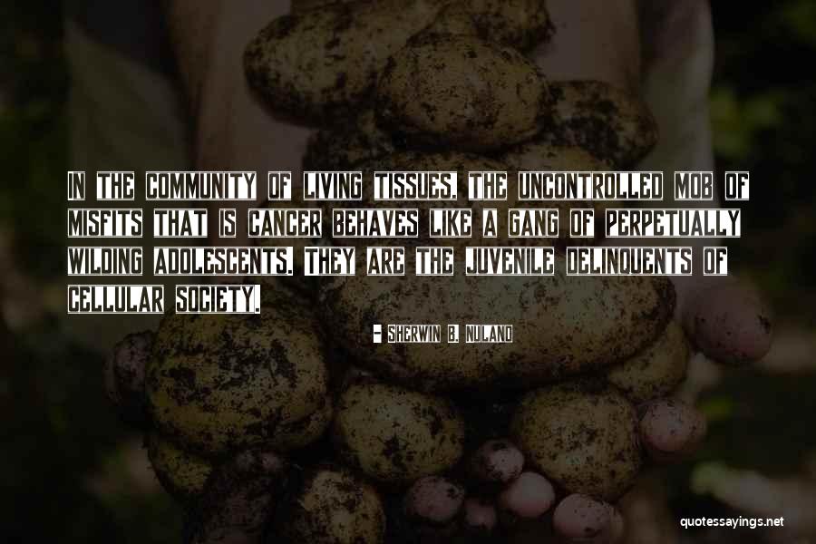 Sherwin B. Nuland Quotes 2032268 Sherwin B. Nuland Quotes 2032268