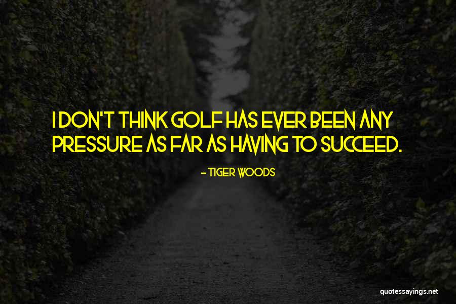 Sheryl Sanberg Quotes By Tiger Woods Sheryl Sanberg Quotes By Tiger Woods