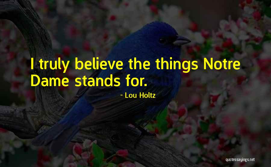 Sheryse Lang Quotes By Lou Holtz
