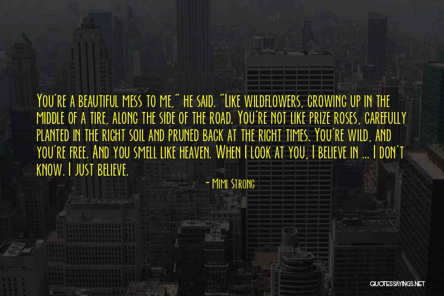 She's A Beautiful Mess Quotes By Mimi Strong