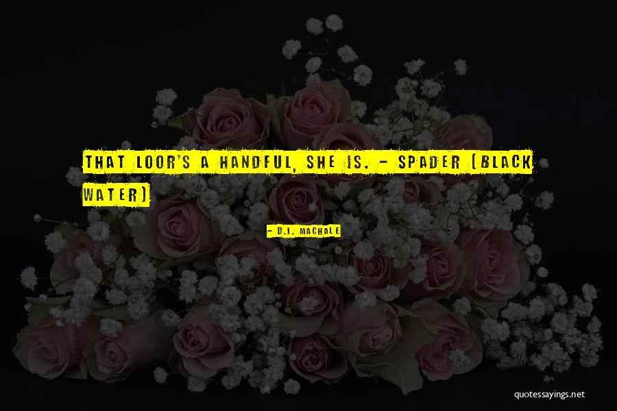 She's A Handful Quotes By D.J. MacHale