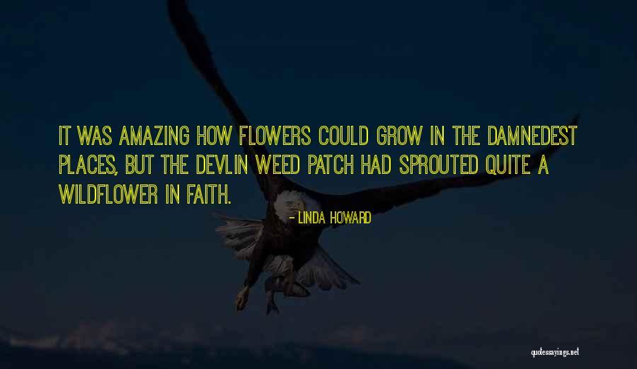 She's A Wildflower Quotes By Linda Howard She's A Wildflower Quotes By Linda Howard