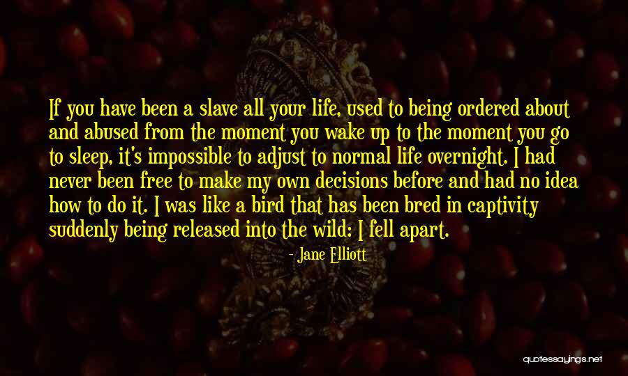 She's Been Abused Quotes By Jane Elliott She's Been Abused Quotes By Jane Elliott