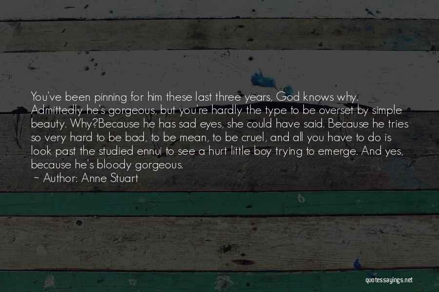 She's Been Hurt Quotes By Anne Stuart