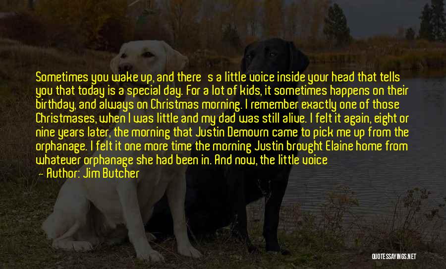 She's Been There Quotes By Jim Butcher