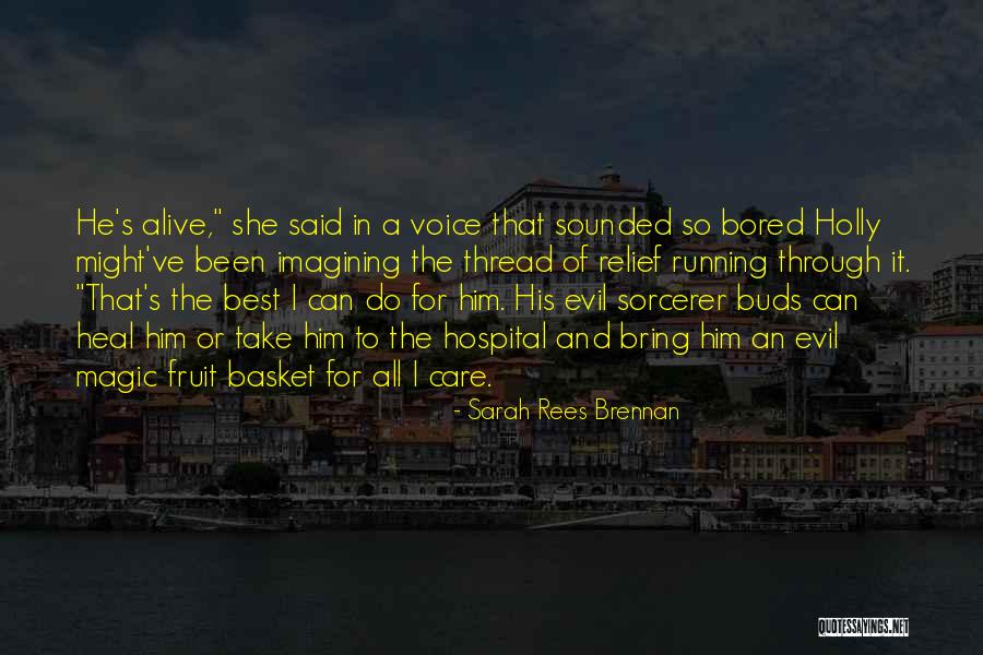 She's Been Through It All Quotes By Sarah Rees Brennan