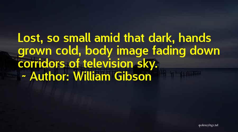 She's Fading Away Quotes By William Gibson