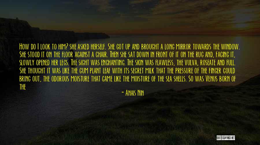 She's Flawless Quotes By Anais Nin