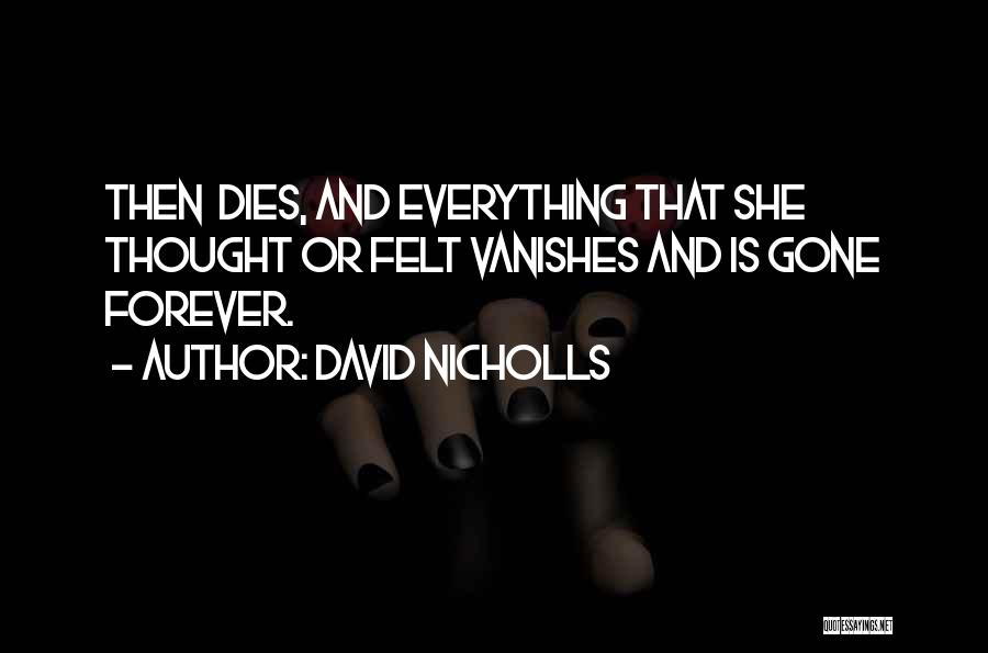 She's Gone Forever Quotes By David Nicholls