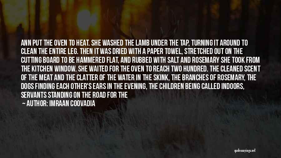 She's Like The Wind Quotes By Imraan Coovadia