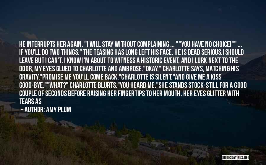She's No Good For You Quotes By Amy Plum