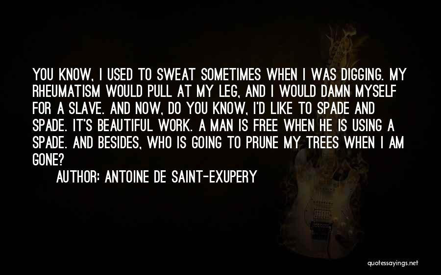 She's So Damn Beautiful Quotes By Antoine De Saint-Exupery
