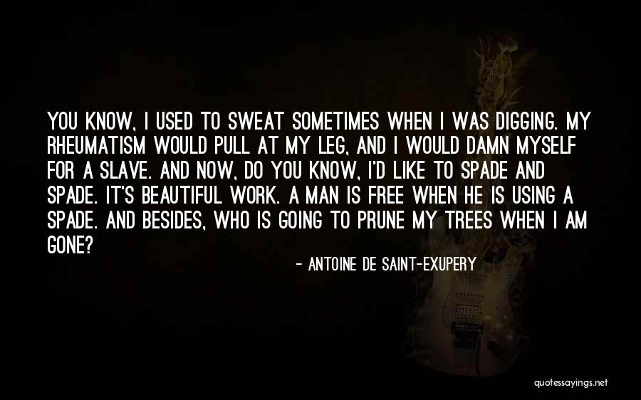 She's So Damn Beautiful Quotes By Antoine De Saint-Exupery