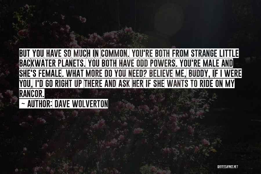 She's So Much More Quotes By Dave Wolverton