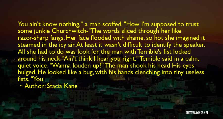 She's The Man Best Quotes By Stacia Kane