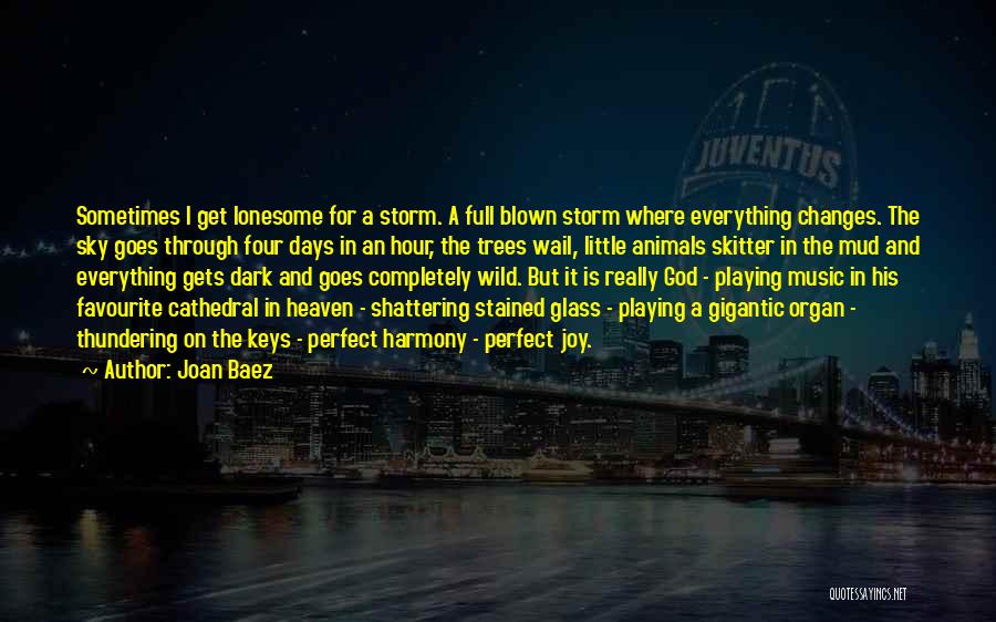She's The Perfect Storm Quotes By Joan Baez
