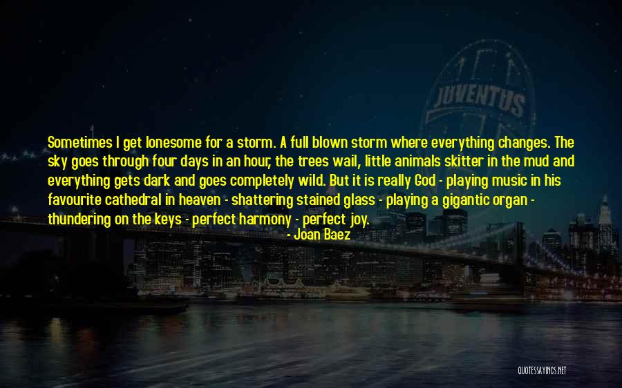 She's The Perfect Storm Quotes By Joan Baez