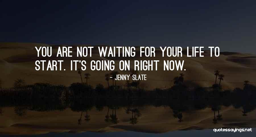 Shevchenko Soccer Quotes By Jenny Slate Shevchenko Soccer Quotes By Jenny Slate