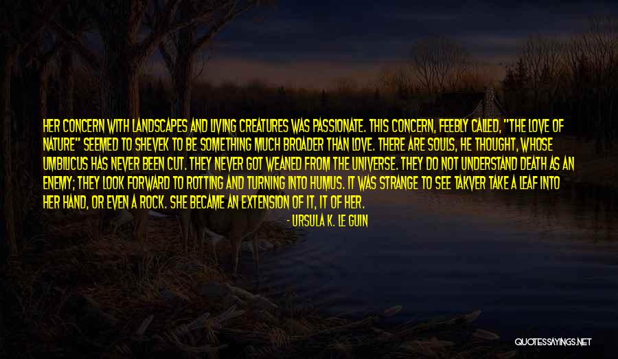 Shevek Quotes By Ursula K. Le Guin Shevek Quotes By Ursula K. Le Guin