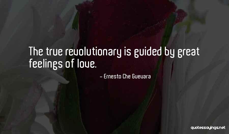 Shevelle Bagley Quotes By Ernesto Che Guevara Shevelle Bagley Quotes By Ernesto Che Guevara