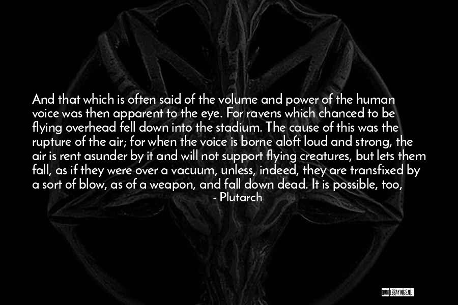 Shevelle Bradley Quotes By Plutarch Shevelle Bradley Quotes By Plutarch
