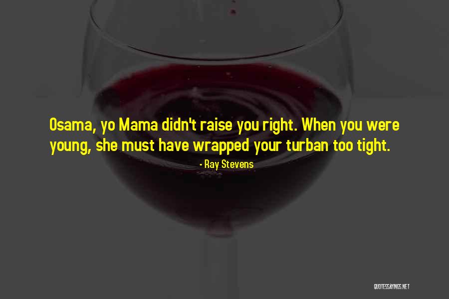 Shevelle Johnson Quotes By Ray Stevens Shevelle Johnson Quotes By Ray Stevens