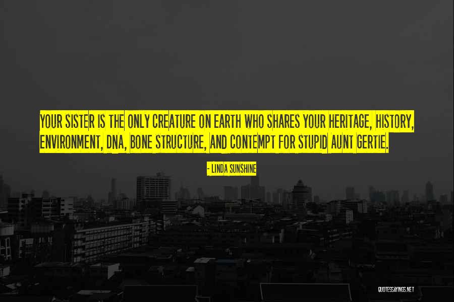 Sheyraz Quotes By Linda Sunshine Sheyraz Quotes By Linda Sunshine