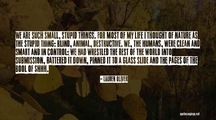 Shhh Inspirational Quotes By Lauren Oliver Shhh Inspirational Quotes By Lauren Oliver