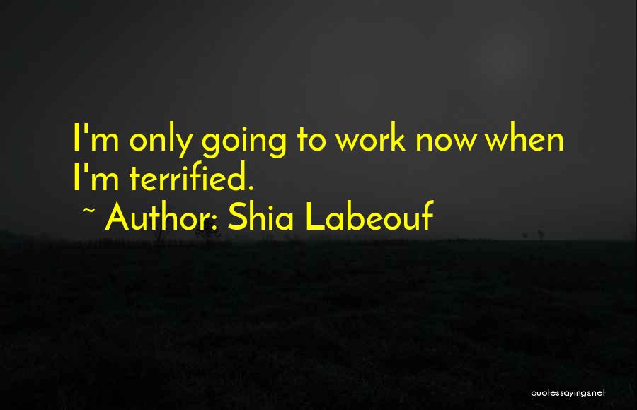 Shia Labeouf Quotes 1069809