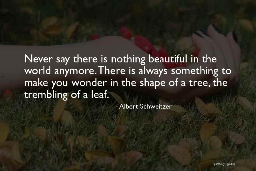 Shiara Mass Quotes By Albert Schweitzer Shiara Mass Quotes By Albert Schweitzer