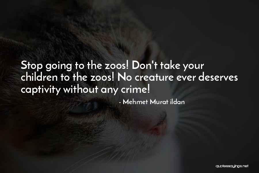 Shibabawa Quotes By Mehmet Murat Ildan Shibabawa Quotes By Mehmet Murat Ildan