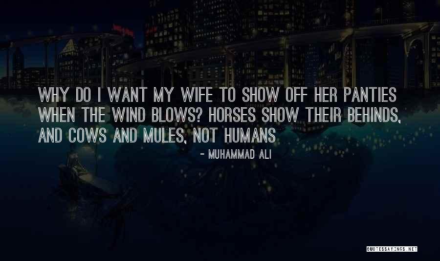Shibabawa Quotes By Muhammad Ali Shibabawa Quotes By Muhammad Ali
