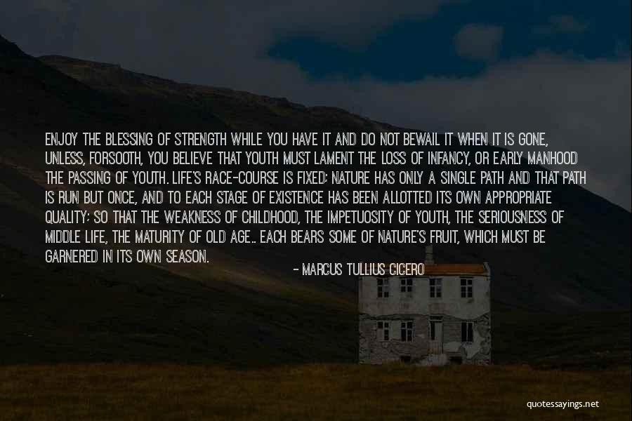 Shichon Dogs Quotes By Marcus Tullius Cicero Shichon Dogs Quotes By Marcus Tullius Cicero