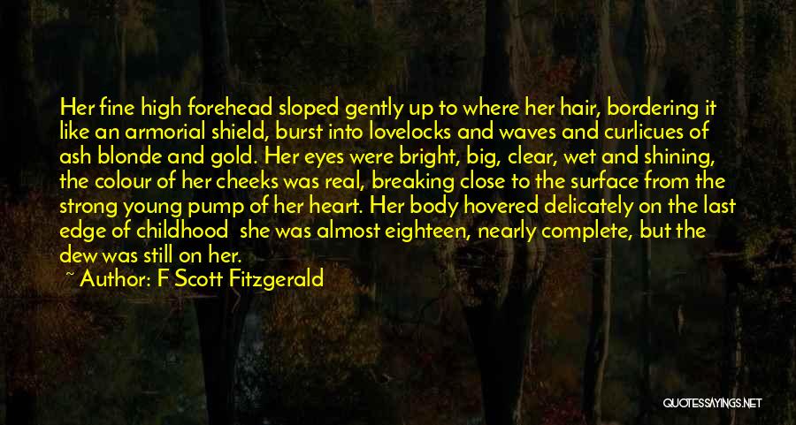 Shield My Heart Quotes By F Scott Fitzgerald
