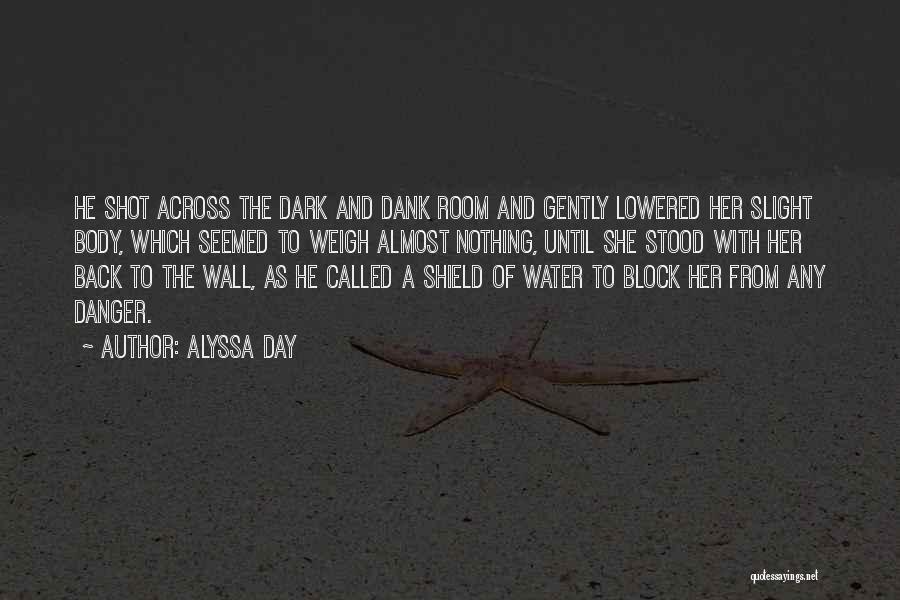 Shield Wall Quotes By Alyssa Day