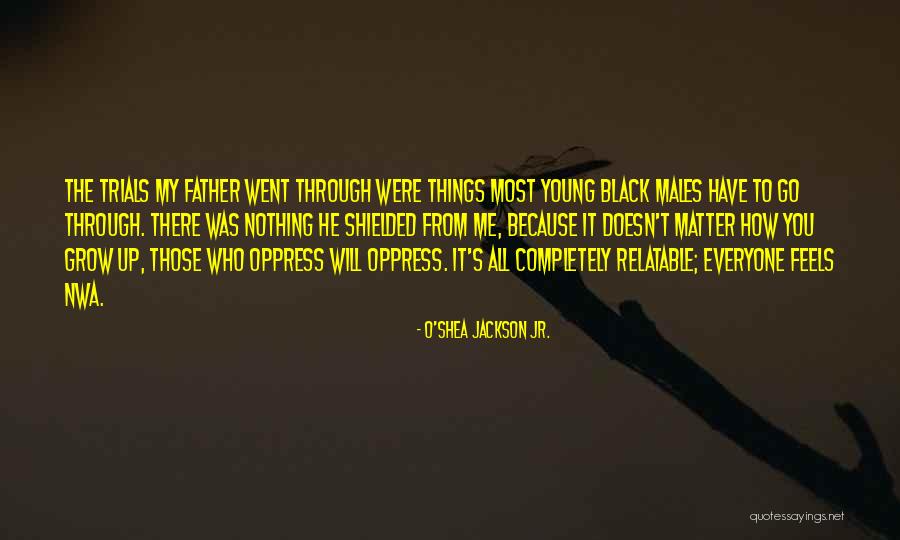 Shielded Quotes By O'Shea Jackson Jr. Shielded Quotes By O'Shea Jackson Jr.