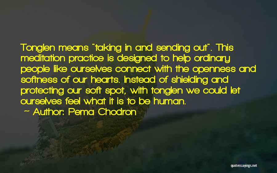 Shielding Quotes By Pema Chodron