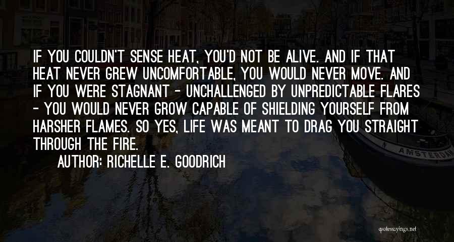 Shielding Quotes By Richelle E. Goodrich