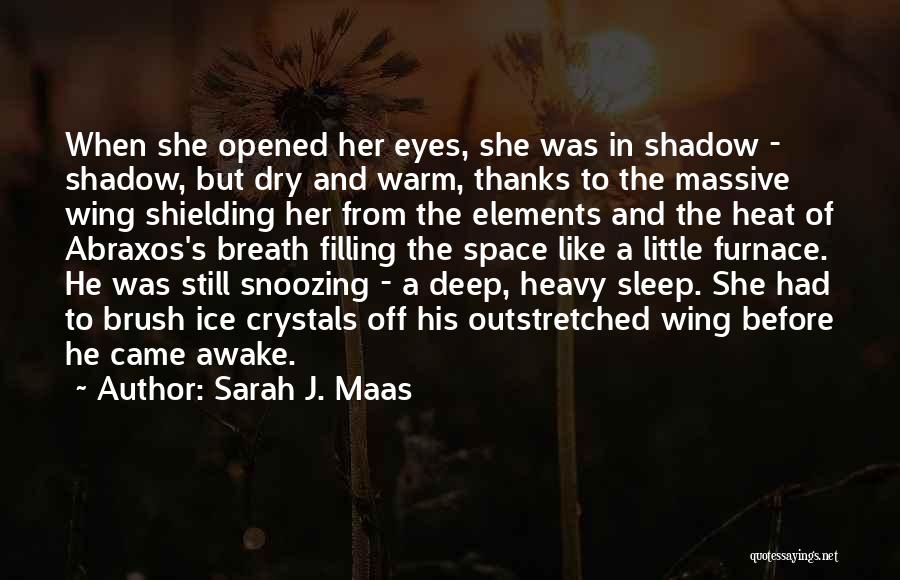 Shielding Quotes By Sarah J. Maas