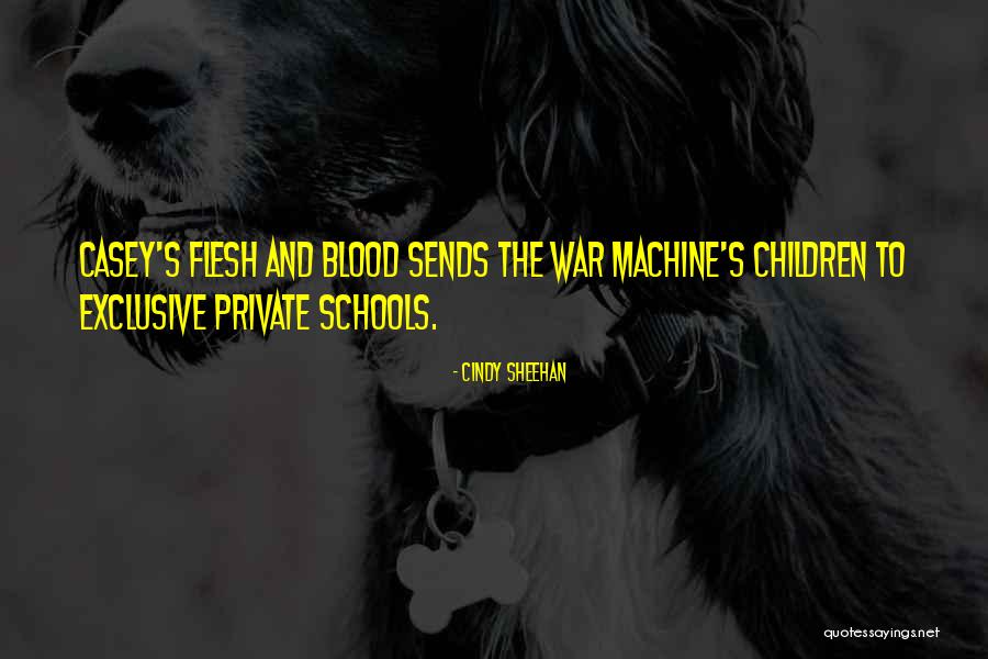 Shields And Yarnell Quotes By Cindy Sheehan Shields And Yarnell Quotes By Cindy Sheehan