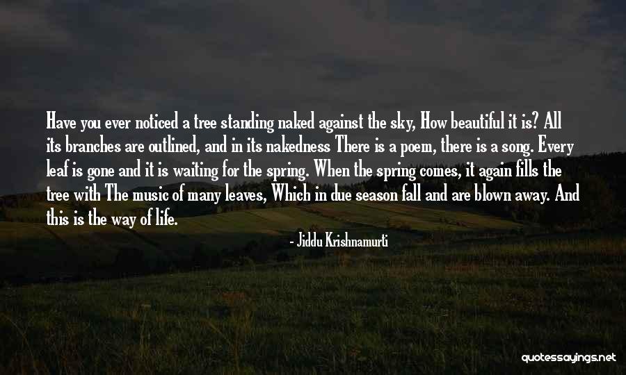 Shiffrin Slalom Quotes By Jiddu Krishnamurti Shiffrin Slalom Quotes By Jiddu Krishnamurti
