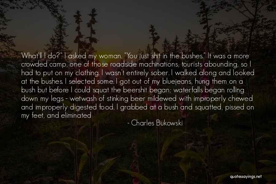 Shiflett Surveying Quotes By Charles Bukowski Shiflett Surveying Quotes By Charles Bukowski