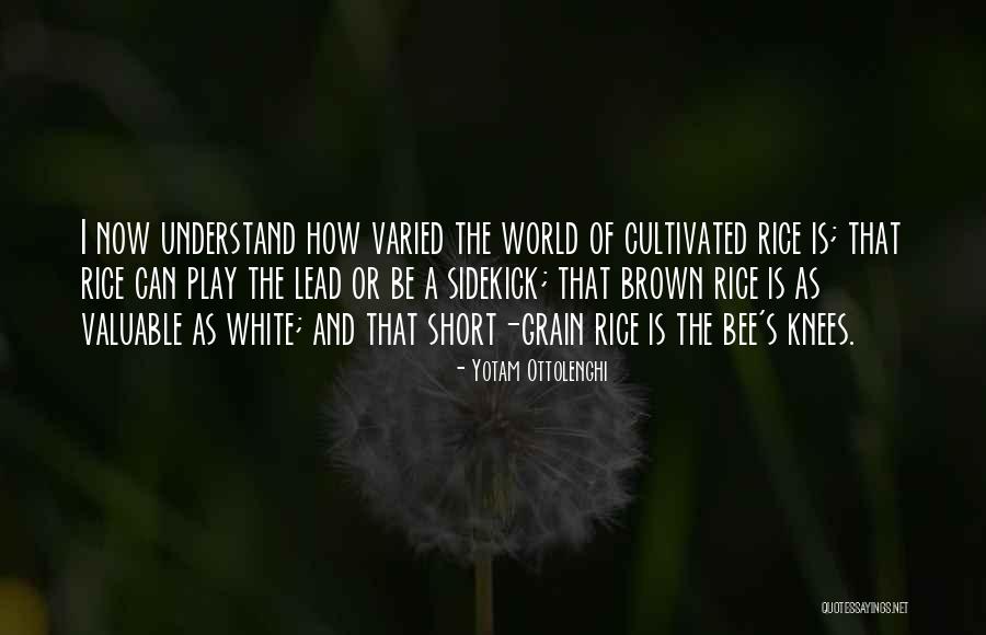 Shigaraki Quotes By Yotam Ottolenghi Shigaraki Quotes By Yotam Ottolenghi