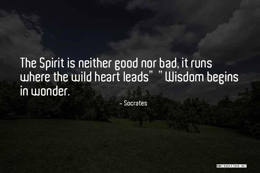 Shigehisa Kuriyama Quotes By Socrates Shigehisa Kuriyama Quotes By Socrates