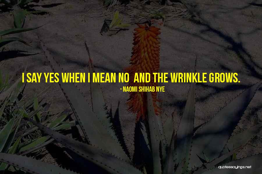 Shihab Nye Quotes By Naomi Shihab Nye Shihab Nye Quotes By Naomi Shihab Nye