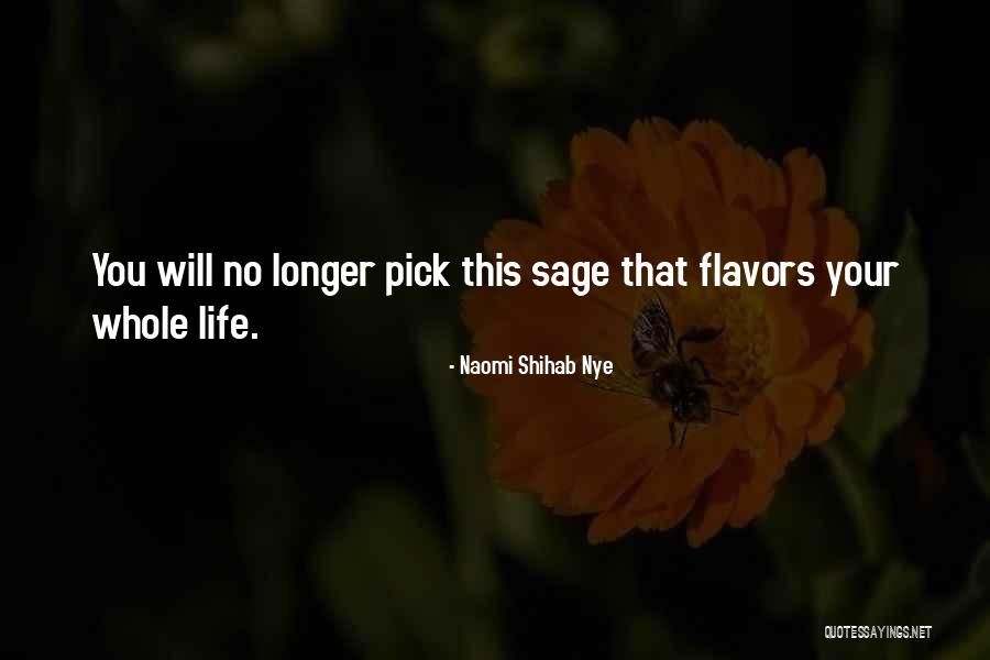 Shihab Nye Quotes By Naomi Shihab Nye Shihab Nye Quotes By Naomi Shihab Nye