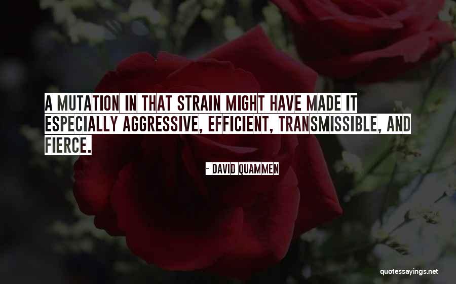 Shihab Shahin Quotes By David Quammen Shihab Shahin Quotes By David Quammen
