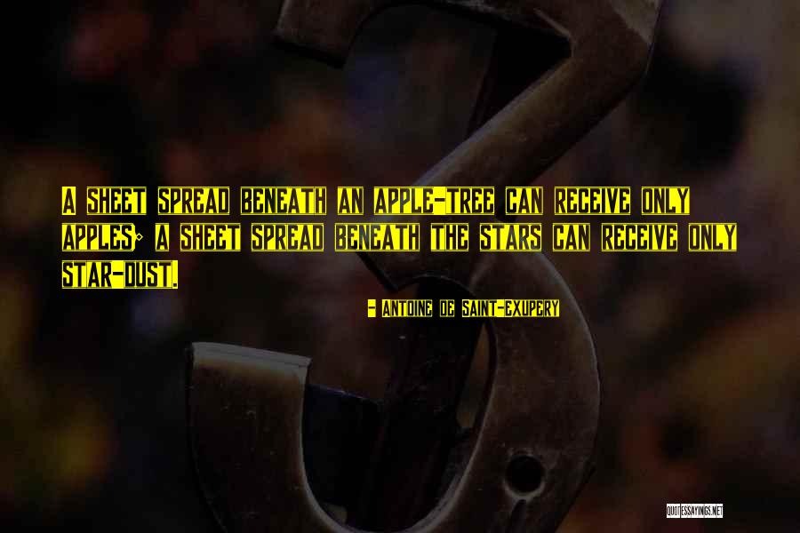 Shihomi Cincy Quotes By Antoine De Saint-Exupery Shihomi Cincy Quotes By Antoine De Saint-Exupery