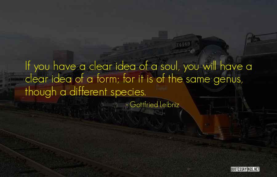 Shihori Kotoi Quotes By Gottfried Leibniz Shihori Kotoi Quotes By Gottfried Leibniz