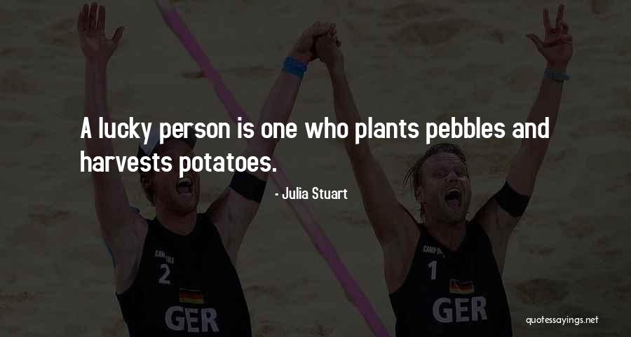Shiiiiiiit Clay Quotes By Julia Stuart Shiiiiiiit Clay Quotes By Julia Stuart
